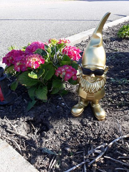 Tuinkabouter goud met zwarte zonnebril - Afbeelding 7