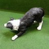 Bordercollie in actie - Afbeelding 3