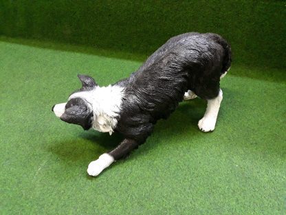 Bordercollie in actie - Afbeelding 3