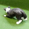 Bordercollie in actie - Afbeelding 4