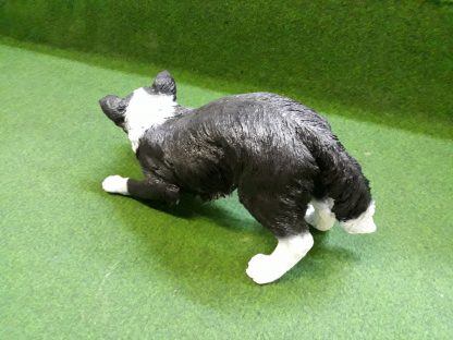 Bordercollie in actie - Afbeelding 4