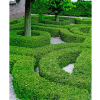 TopBuxus Health mix 10 tabletten - Afbeelding 5