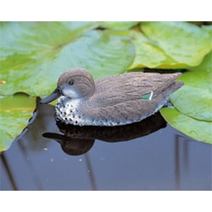 Wintertaling  vrouw