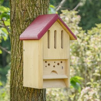 Nestkast voor bijen en vlinders
