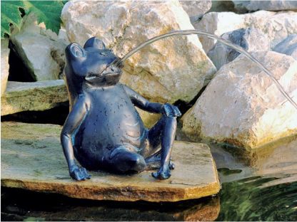 Spuitfiguur Kikker