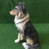 tuinbeeld bordercollie