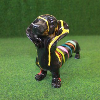 Teckel zwart met gekleurde strepen