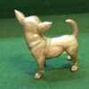 Gouden Chihuahua