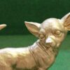Gouden Chihuahua