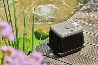 Oase AquaOxy 2500 zuinige luchtpomp