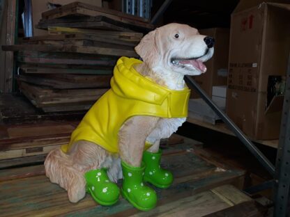 Hond in regenpak - Afbeelding 5