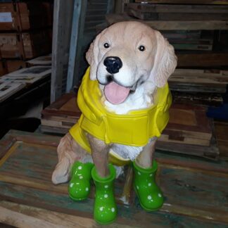 Hond in regenpak