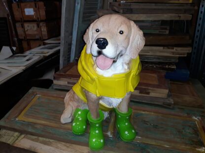 Hond in regenpak