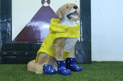 Hond in regenpak - Afbeelding 3