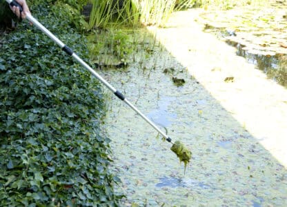 Velda Algae Brush draadalgenborstel tegen draadalg