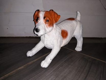 Jack Russel Wakend Bruin Wit