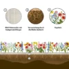 Easygreen Bloemenpracht Bechrijving