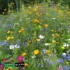 Easygreen Honing Vlinder Resultaat 2