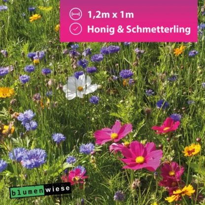 Easygreen Honing Vlinder Resultaat