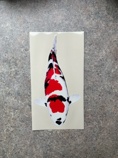 Koi Sticker 4 - Tancho