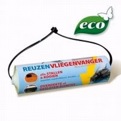 Reuzen vliegenvanger