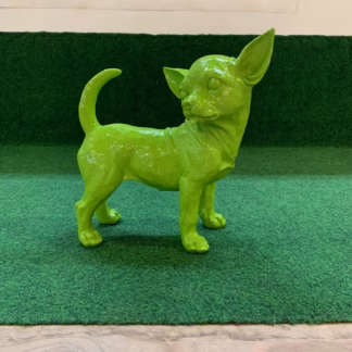 Groene Chihuahua