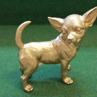 Gouden Chihuahua