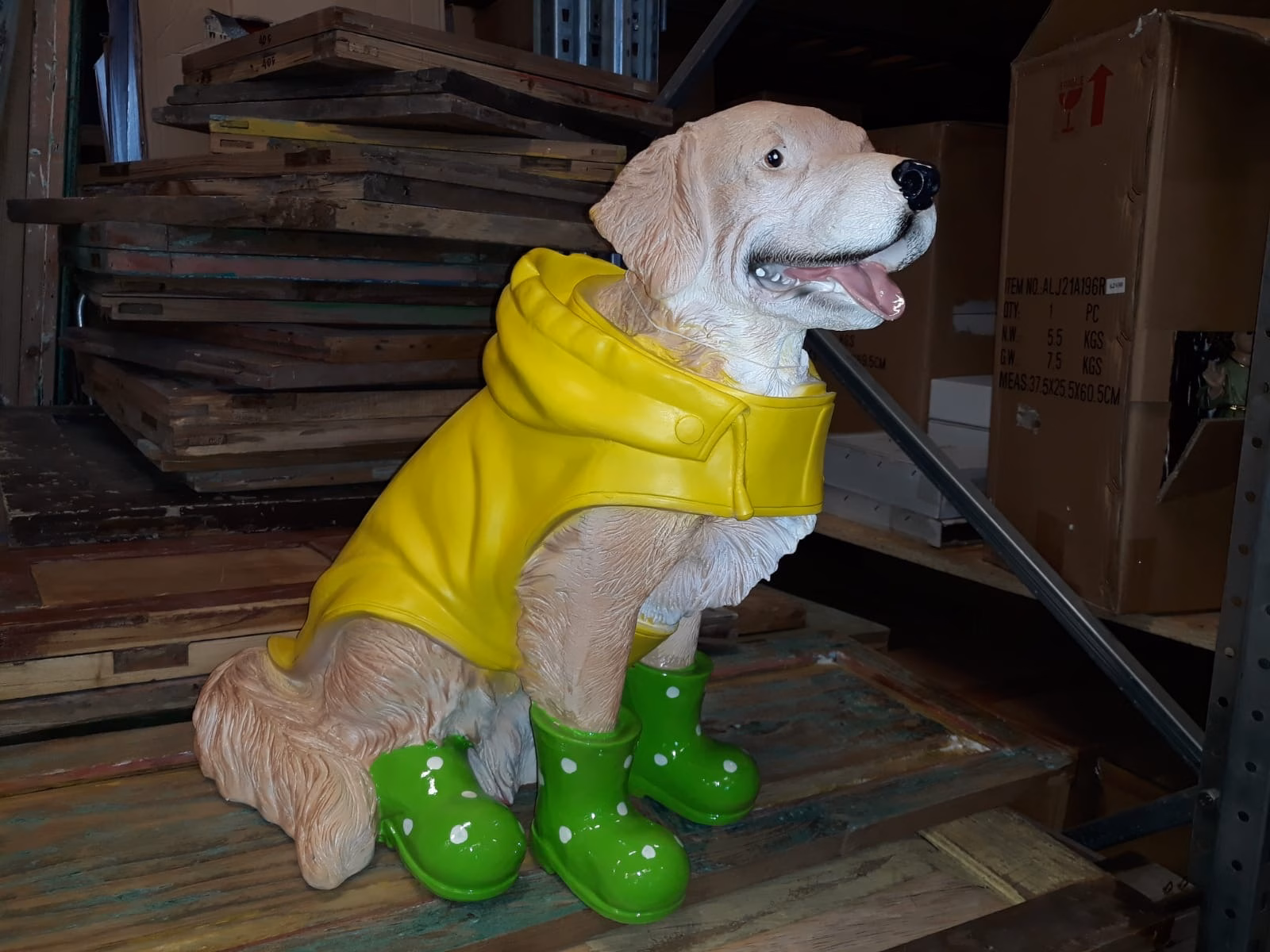 Hond in regenpak - Afbeelding 5