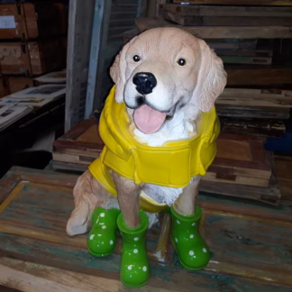 Hond in regenpak