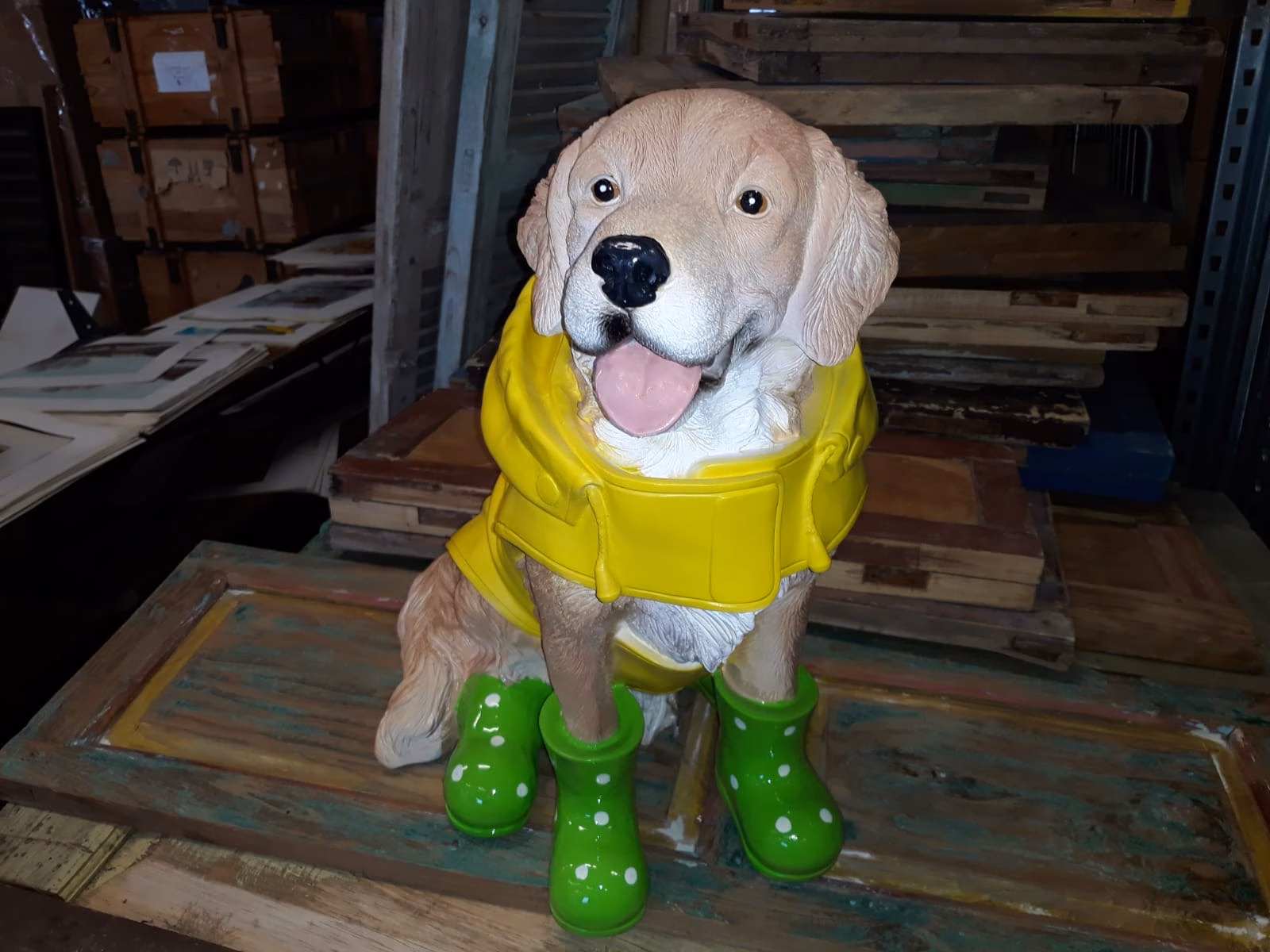 Hond in regenpak