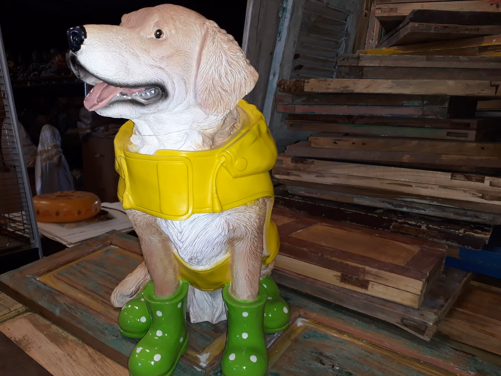Hond in regenpak - Afbeelding 4