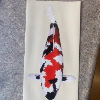 Koi Sticker 2 - Showa