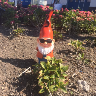 Tuinkabouter met zonnebril origineel