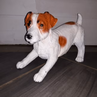 Jack Russel Wakend Bruin Wit