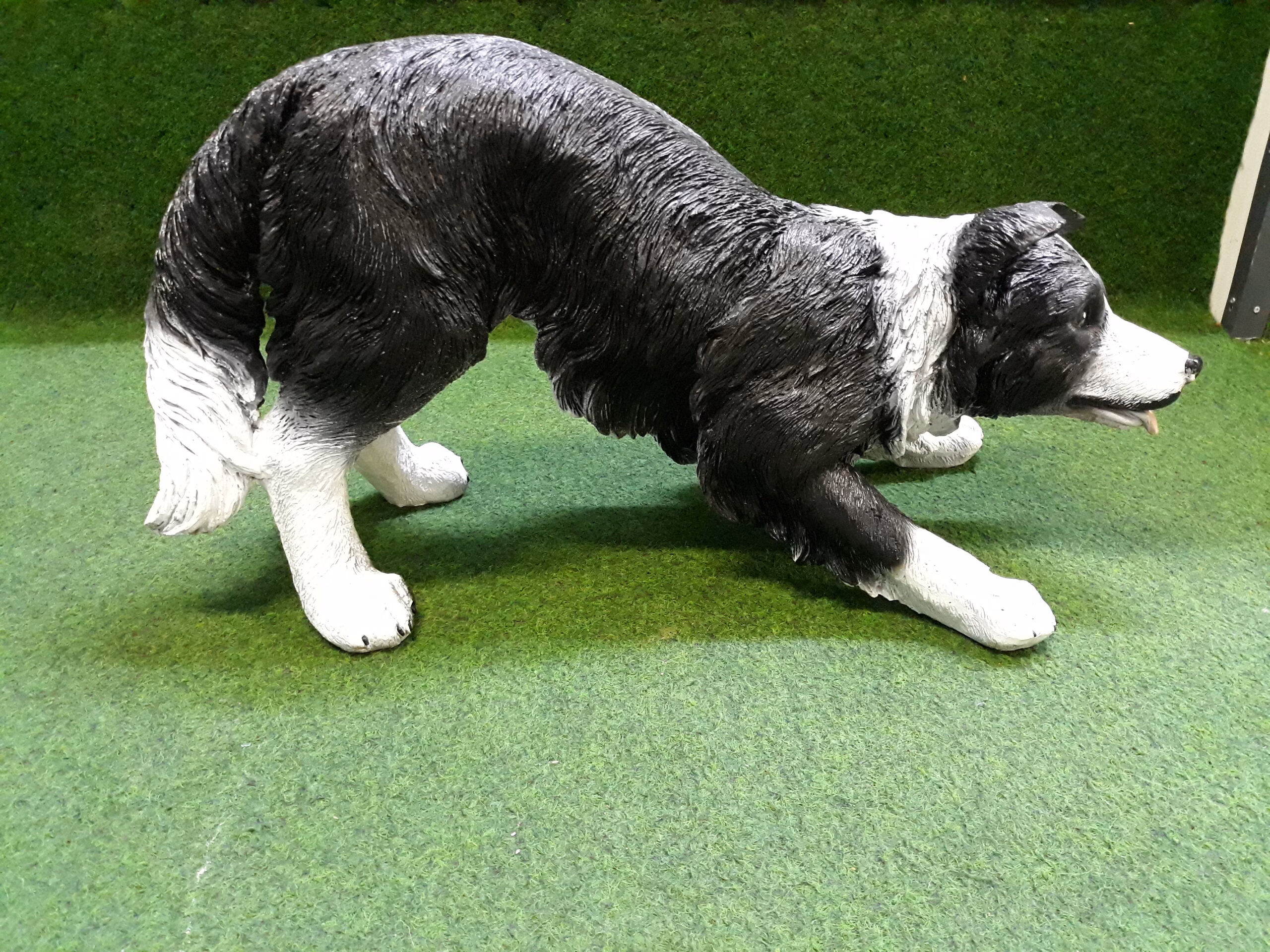 Bordercollie in actie - Afbeelding 2