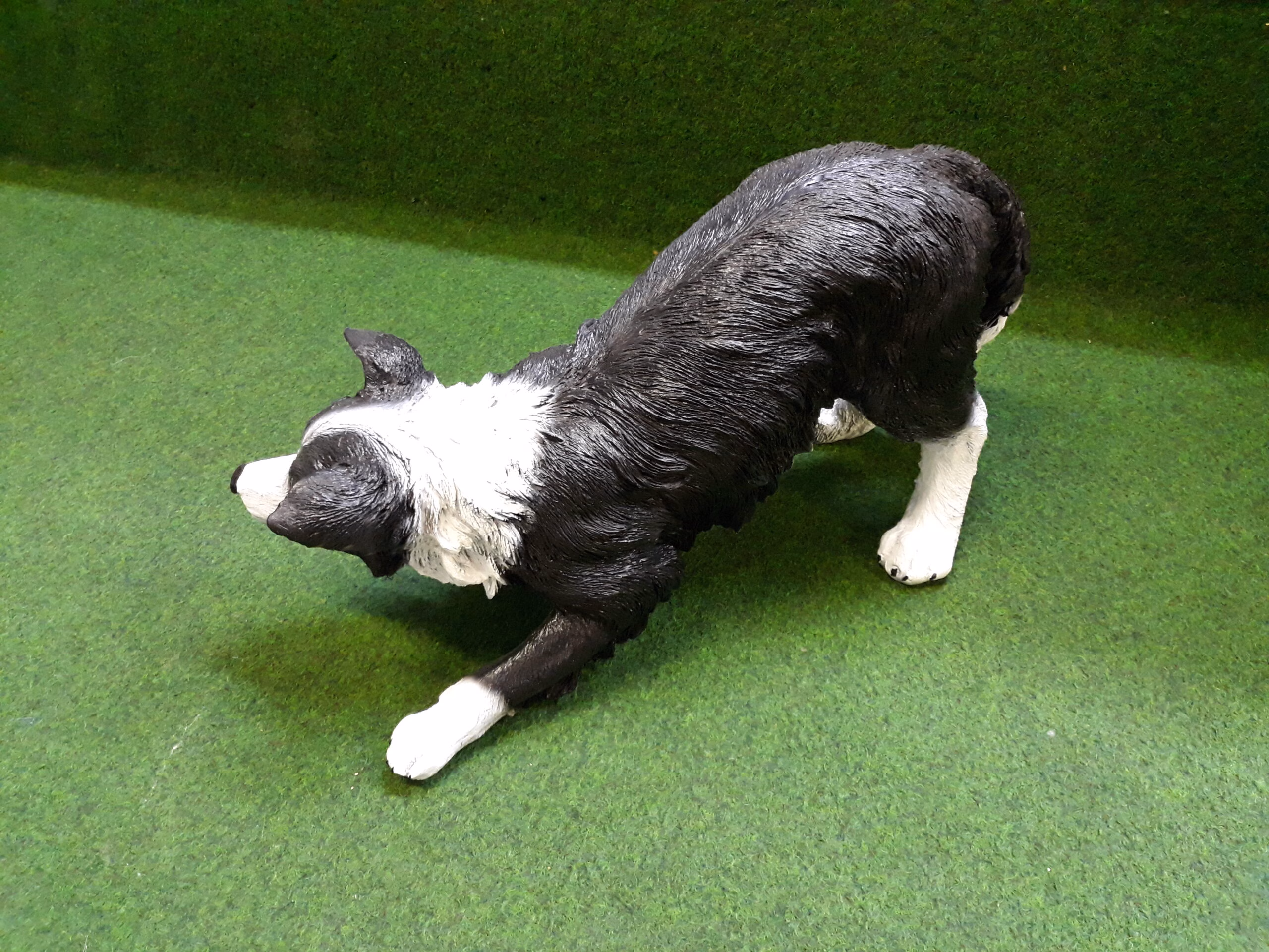 Bordercollie in actie - Afbeelding 3