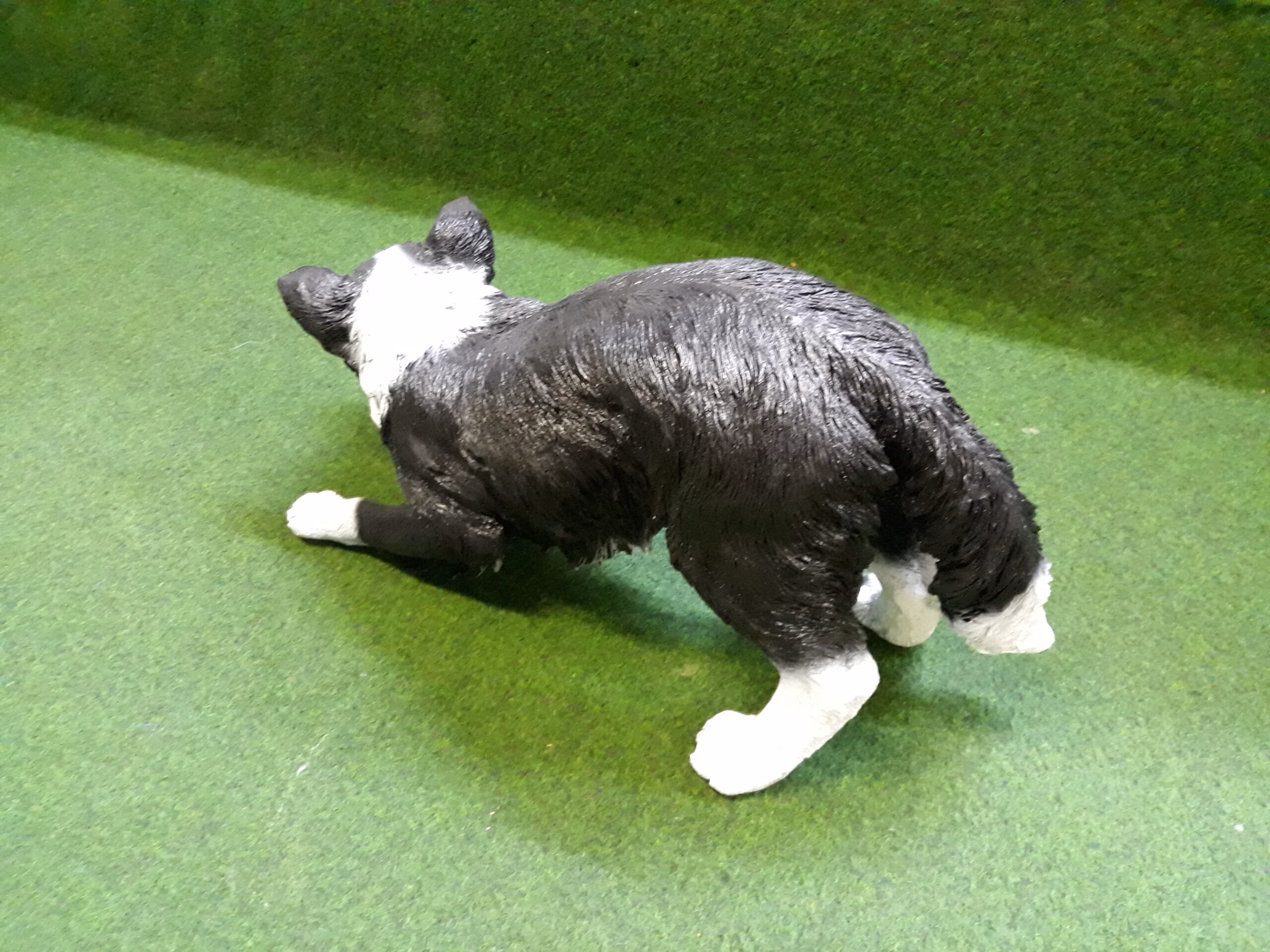 Bordercollie in actie - Afbeelding 4