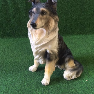 Zittende Herdershond