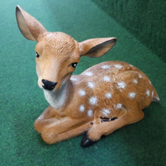 Hertje liggend groot