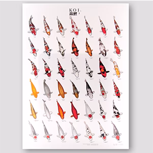 Koiposter groot A1 formaat nr3