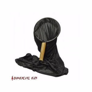 Japanse Koi Sok 24cm